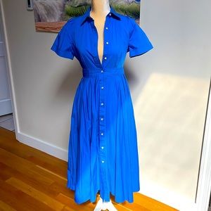 ALEXIS x Target Cobalt blue dress